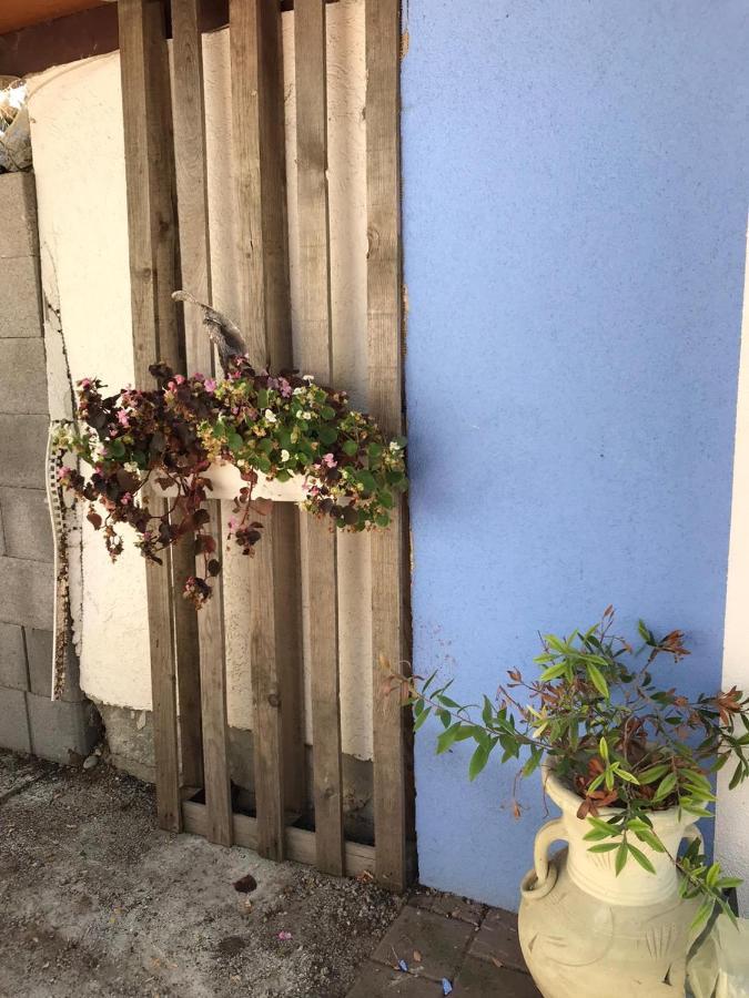 Ferienwohnung Auf Der Blue Ranch Engen Ngoại thất bức ảnh